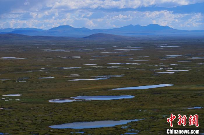 圖為查旦濕地?！●R銘言 攝