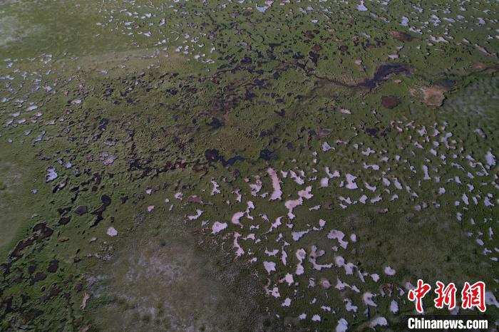 航拍查旦濕地?！●R銘言 攝