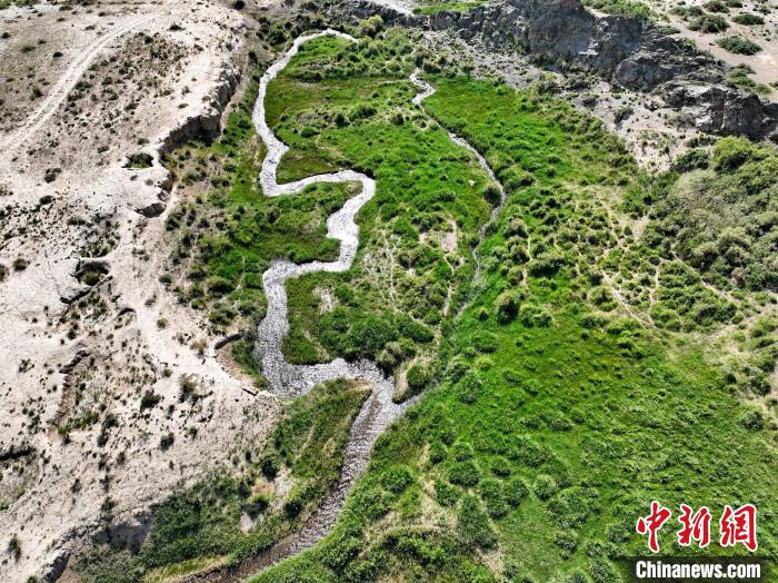 圖為航拍都蘭湖國家濕地公園綠意盎然?！∑钤鲚?攝