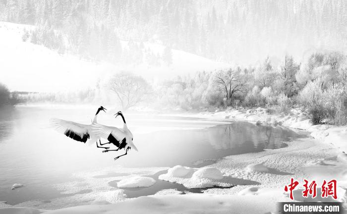 圖為焦生福的作品《鶴嬉雪林》?！∏嗪Ｊ∑钸B山自然保護(hù)協(xié)會(huì)供圖