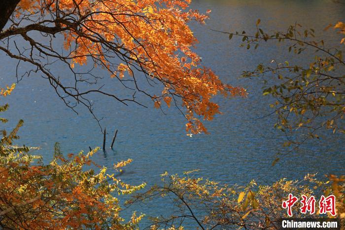 松坪溝風光?！⑼?攝