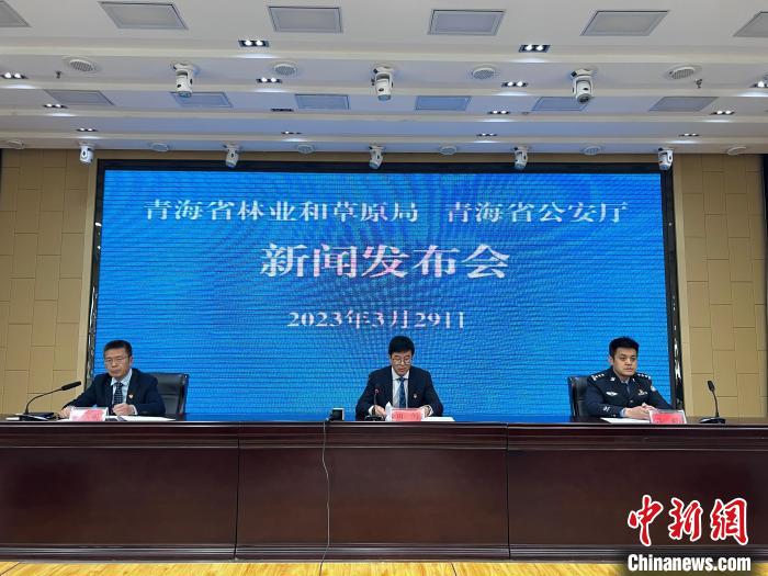 青海去年占用林地、草地準(zhǔn)予許可件同比實(shí)現(xiàn)“雙減”