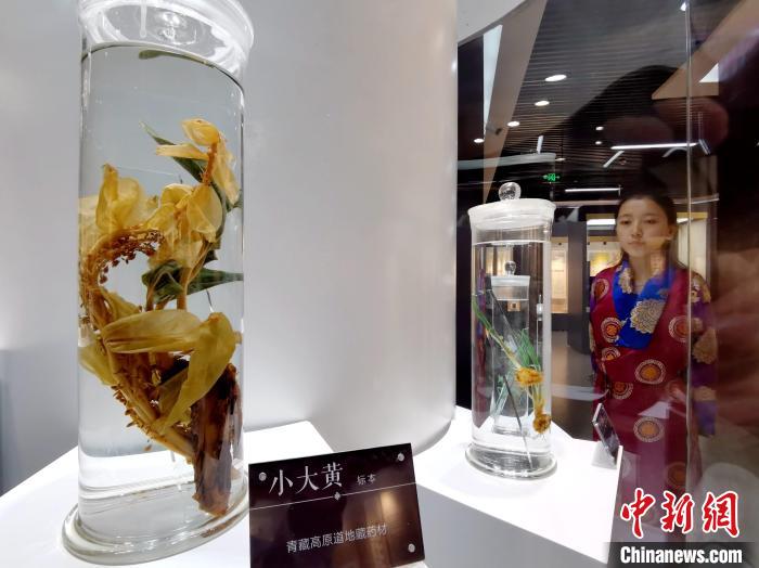 青海中藏醫(yī)藥發(fā)展提速：建設(shè)一批重點(diǎn)?？茖W(xué)科，推廣一批適宜技術(shù)