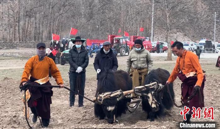 圖為活動現(xiàn)場當(dāng)?shù)厝罕娬故緜鹘y(tǒng)春耕方式?！±罱瓕?攝