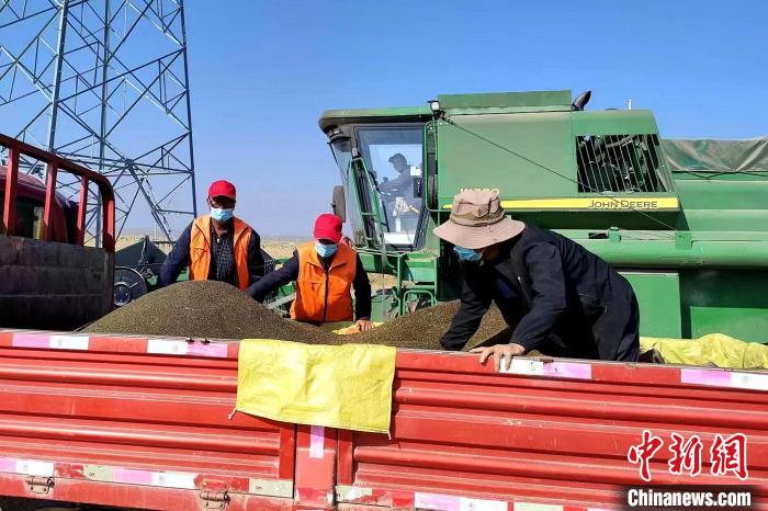 圖為合作社工作人員準備播種。(資料圖) 張海蓮 攝