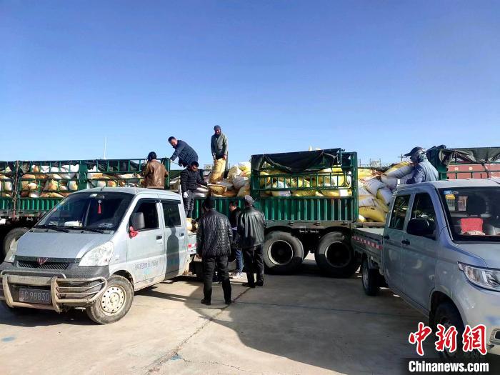 圖為合作社正在拉運化肥。(資料圖) 張海蓮 攝