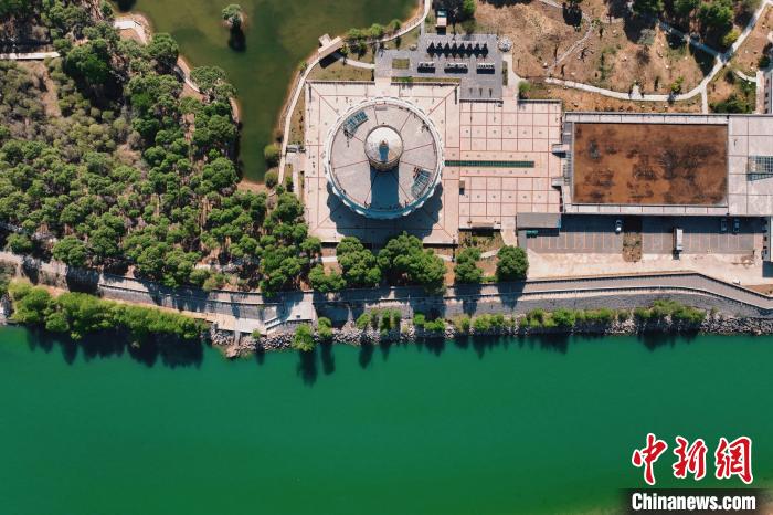 航拍青海貴德黃河岸畔綠意濃濃。　趙凜松 攝