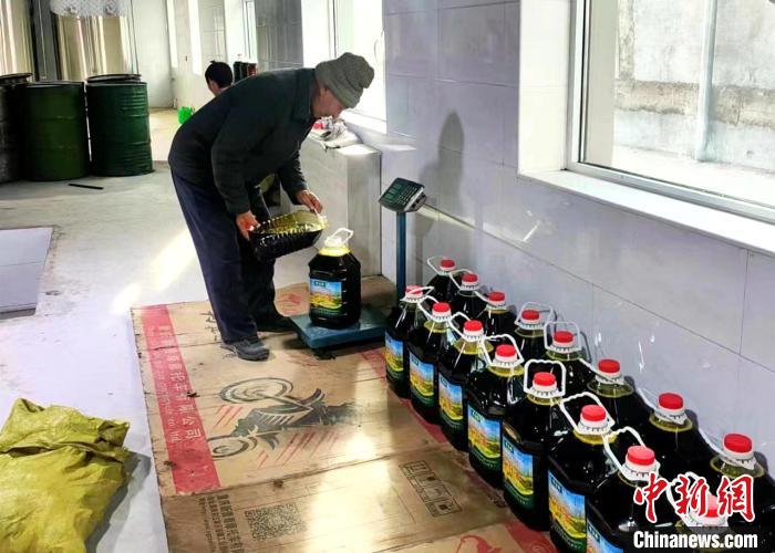 圖為高原油菜籽榨出的菜籽油?！埖么?攝