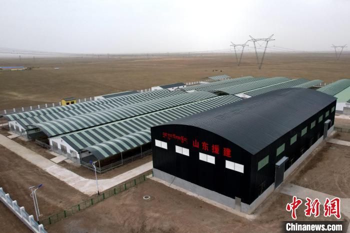 圖為航拍生態(tài)畜牧業(yè)集中規(guī)模化養(yǎng)殖基地?！〔讨绢?攝