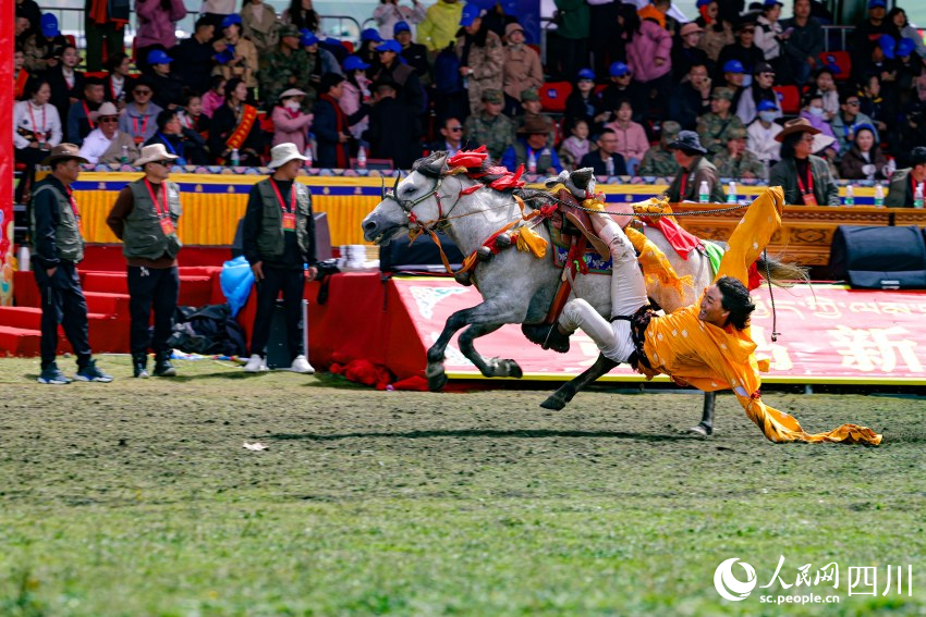 馬術(shù)表演現(xiàn)場(chǎng)。洛絨尼瑪攝