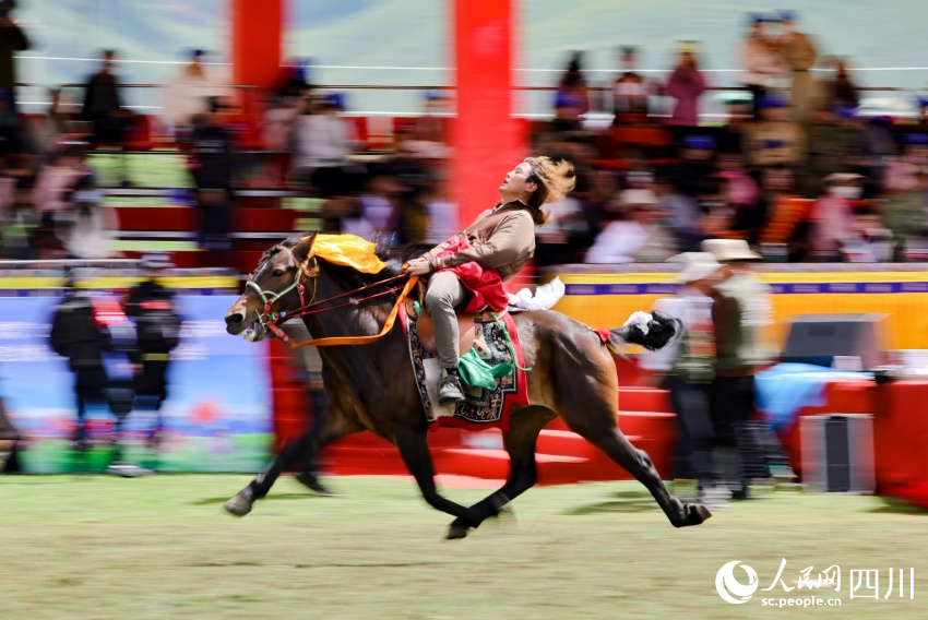 馬術(shù)表演現(xiàn)場(chǎng)。洛絨尼瑪攝