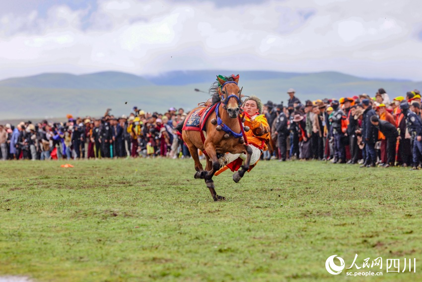 馬術(shù)表演現(xiàn)場(chǎng)。洛絨尼瑪攝