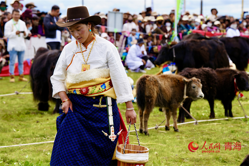 擠牦牛奶大賽。人民網(wǎng) 陳明菊攝