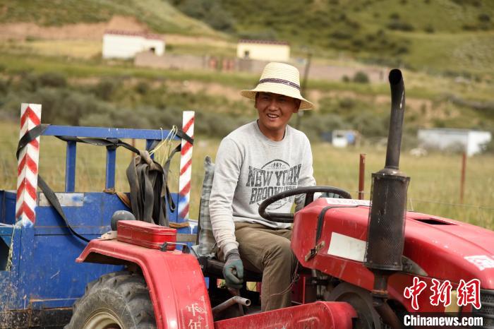 青海囊謙：喜迎秋收，又是一年“豐”景
