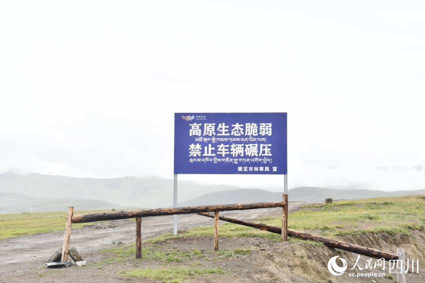 禁止車輛碾壓草原的提示牌。人民網(wǎng)記者 王洪江攝