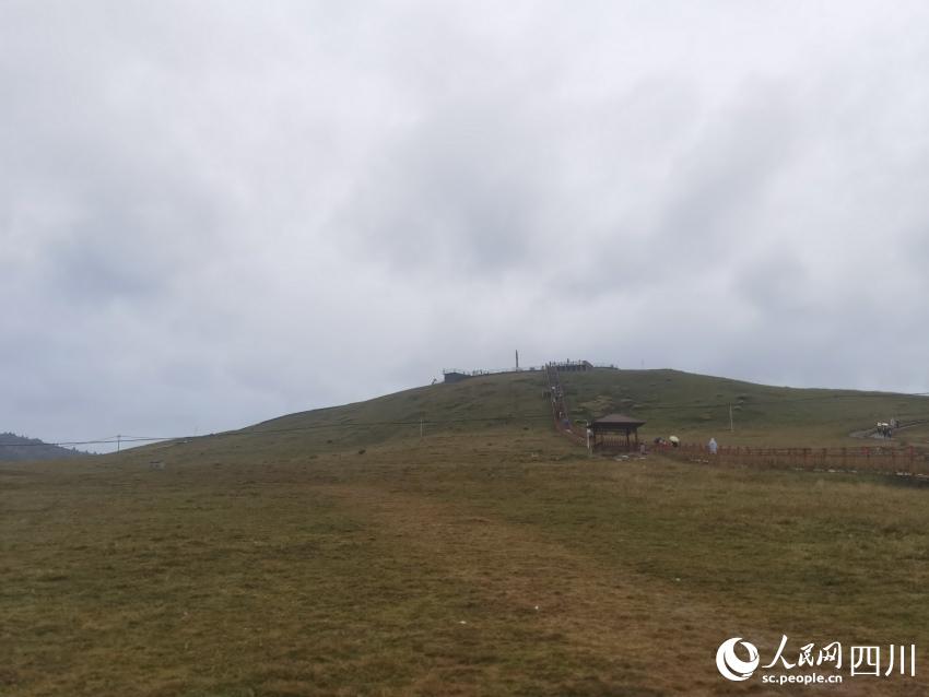 甘孜州塔公草原。人民網(wǎng)記者 王洪江攝