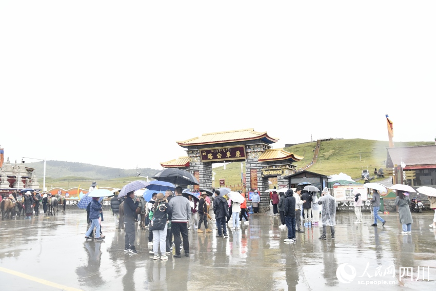 甘孜州塔公草原。人民網(wǎng)記者 王洪江攝