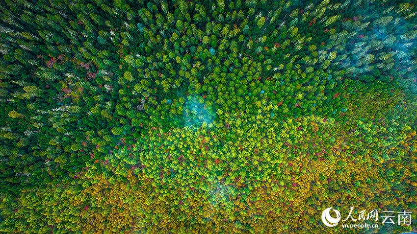 秋日普達措。格瑪攝