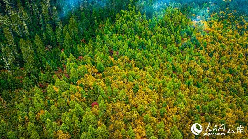 秋日普達措。格瑪攝
