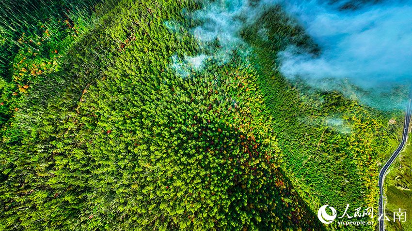 秋日普達措。格瑪攝