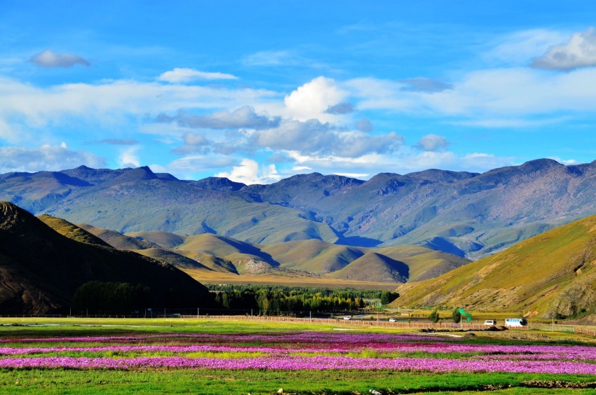 稻城風光。稻城縣委宣傳部供圖
