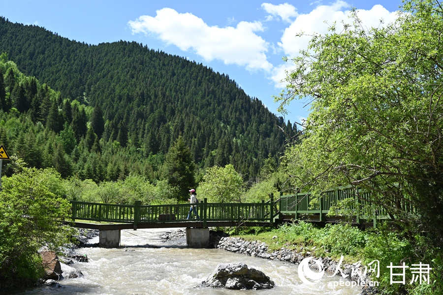 卓尼大峪溝：山雄石奇 水麗林秀【6】