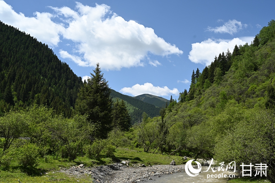 卓尼大峪溝：山雄石奇 水麗林秀【7】
