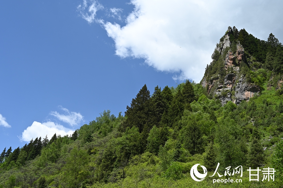 卓尼大峪溝：山雄石奇 水麗林秀【8】