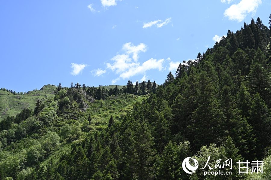 卓尼大峪溝：山雄石奇 水麗林秀【9】