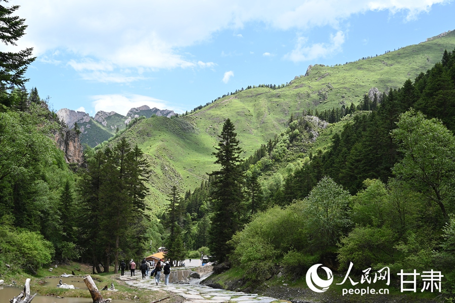 卓尼大峪溝：山雄石奇 水麗林秀【11】