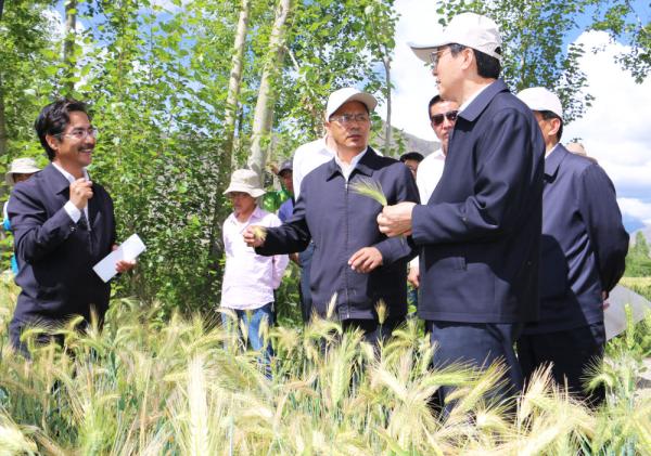 全國表彰大會上，為什么只有他沒到？