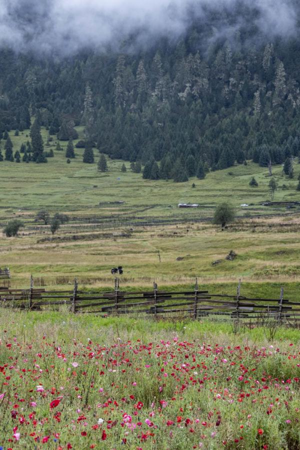 跟我，踏上最美“景觀大道”