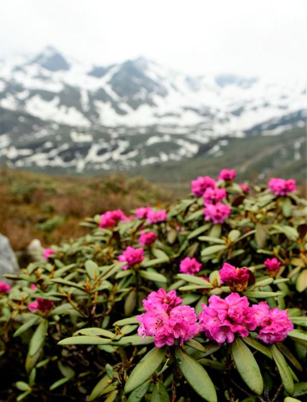 跟我，踏上最美“景觀大道”