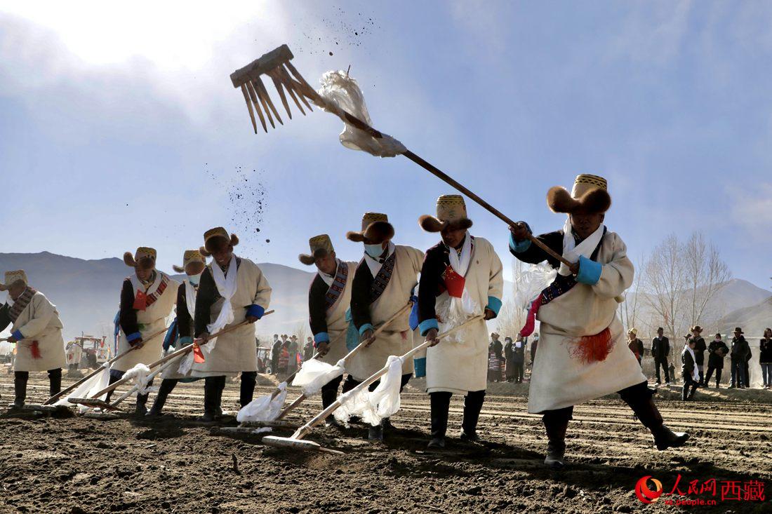 當?shù)卮迕裆碇?jié)日盛裝，舉行春耕儀式。人民網(wǎng) 次仁羅布攝