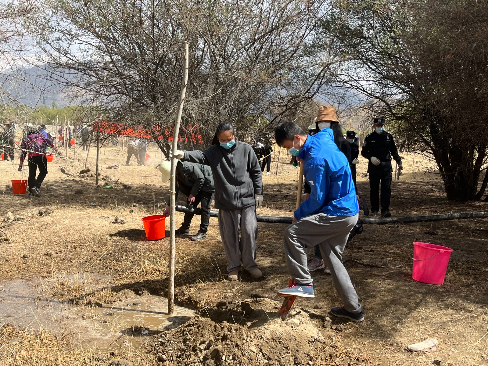 植樹現(xiàn)場，大家分工明確，配合默契(2000565)-20220420090303.jpg
