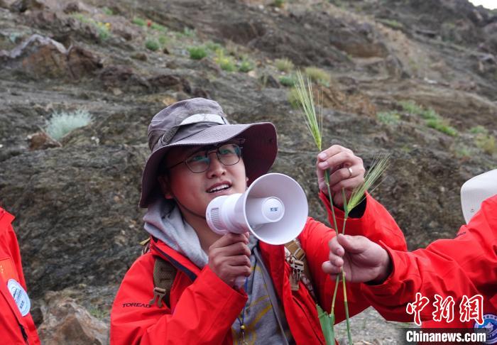 青藏科考：青稞如何走上青藏高原？
