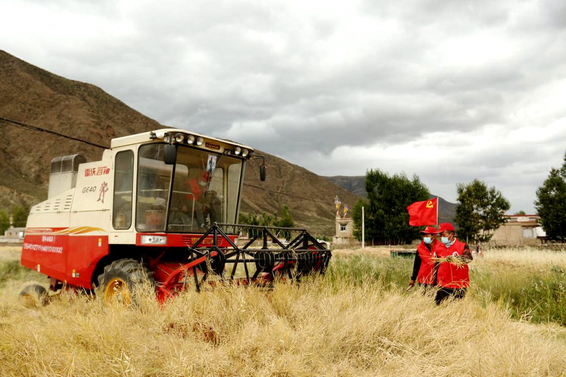 陣陣機(jī)械的轟鳴聲傳來豐收的喜悅。洛克攝