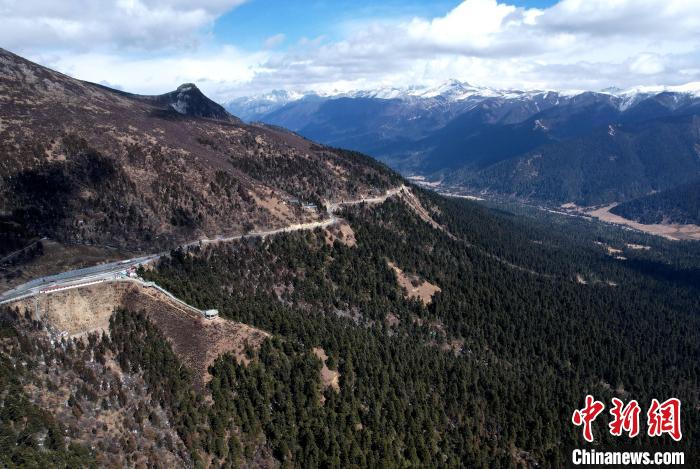 2月17日，西藏林芝魯朗林海。(無人機照片) 李林 攝