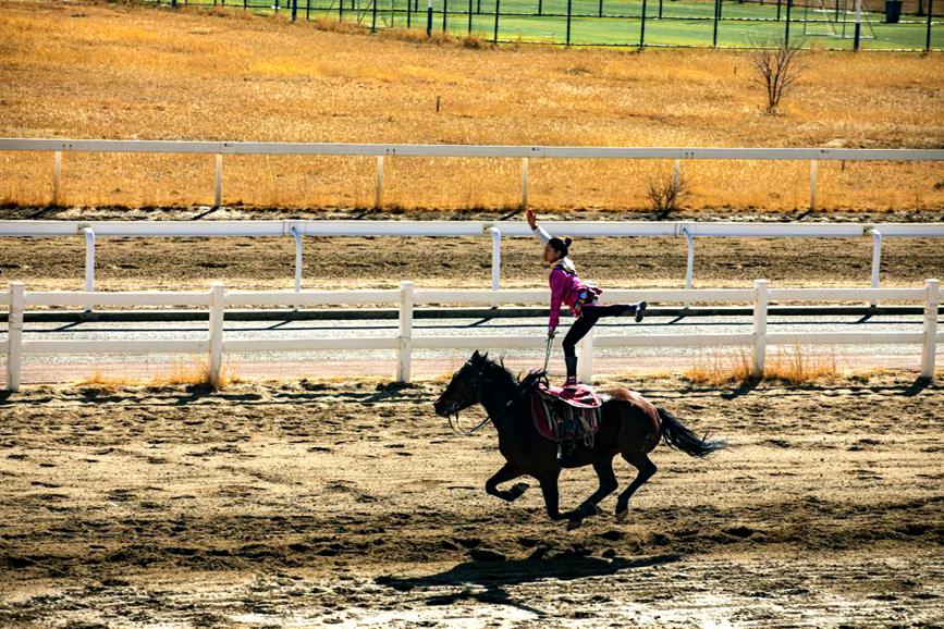 藏歷新年，精彩的馬術(shù)表演。張靜攝