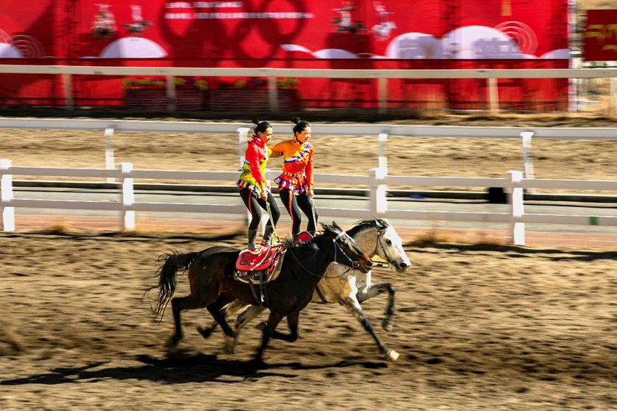 藏歷新年，精彩的馬術(shù)表演。張靜攝