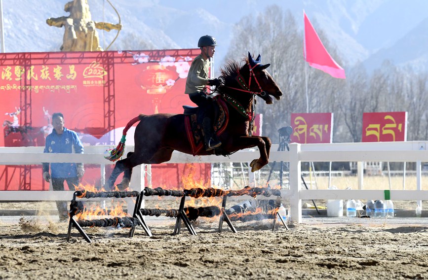 藏歷新年，精彩的馬術(shù)表演。潘多攝