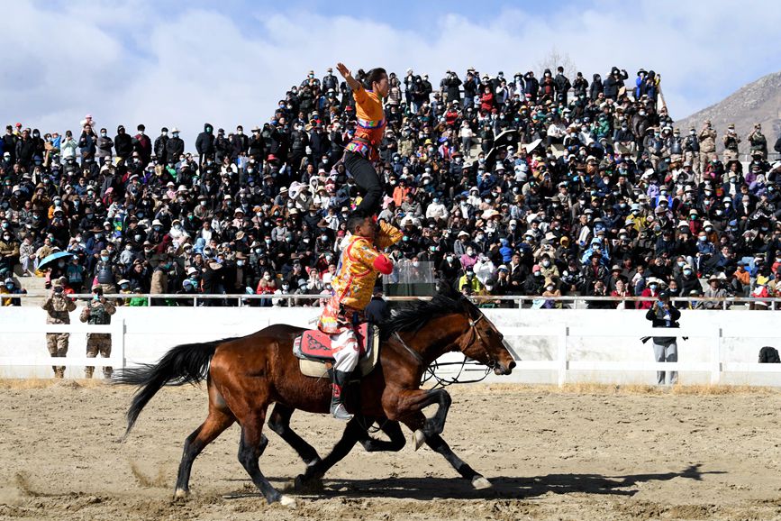 藏歷新年，精彩的馬術(shù)表演。潘多攝