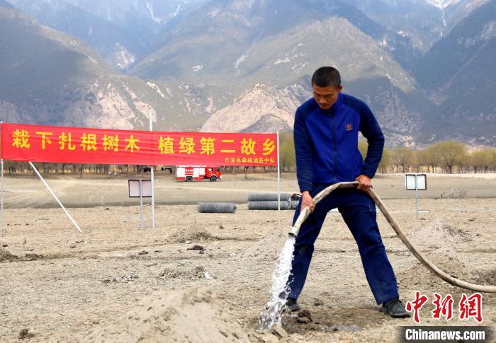 林芝市巴宜區(qū)森林消防中隊志愿服務(wù)隊澆水灌溉。　西繞拉翁 攝
