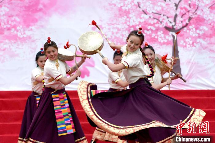 3月28日，西藏林芝第二十屆桃花旅游文化節(jié)開幕式上的文藝表演?！±盍?攝