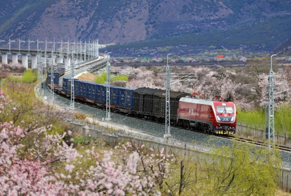 人間桃花源！林芝桃花有多絕？