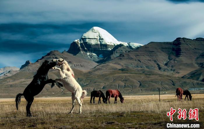 圖為參展攝影師拍攝的西藏阿里岡仁波齊?！≈鬓k方 供圖