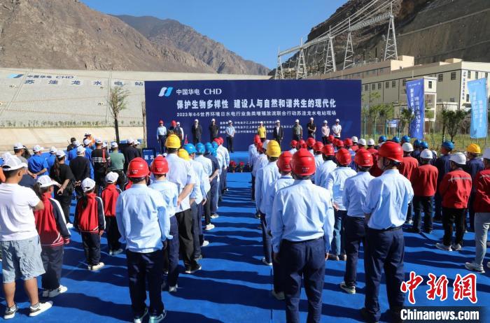 圖為蘇洼龍水電站魚類放流現(xiàn)場?！√K洼龍水電站供圖