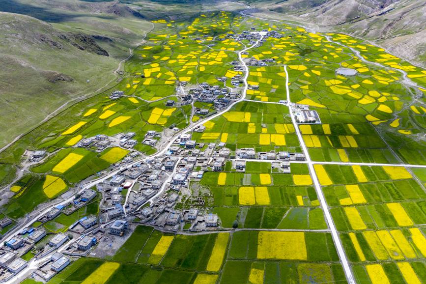 航拍道布龍村，依山傍水，阡陌縱橫。