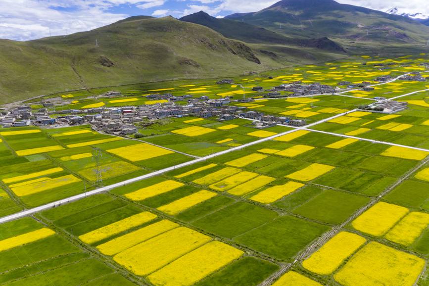 航拍道布龍村，依山傍水，阡陌縱橫。