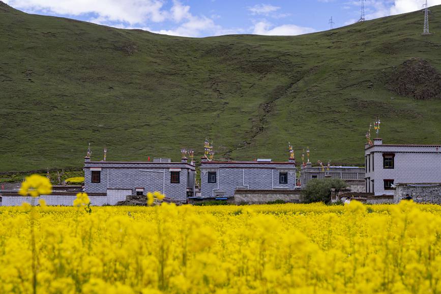 環(huán)境優(yōu)美的道布龍村一角。